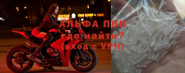 PSILOCYBIN Беломорск