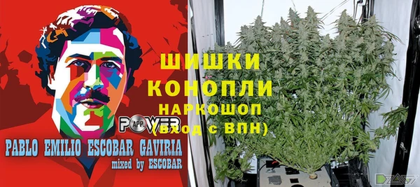 ECSTASY Белоозёрский