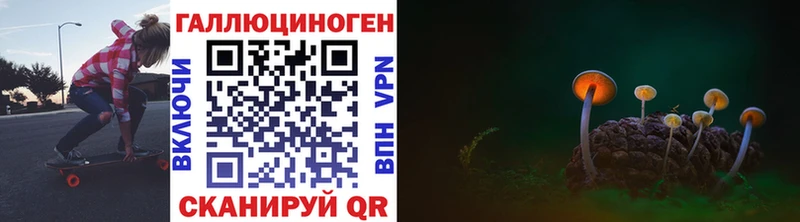 Псилоцибиновые грибы Cubensis  Невель 