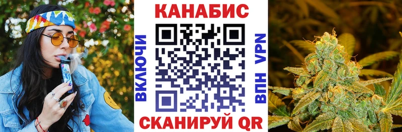 Канабис гибрид  Невель 